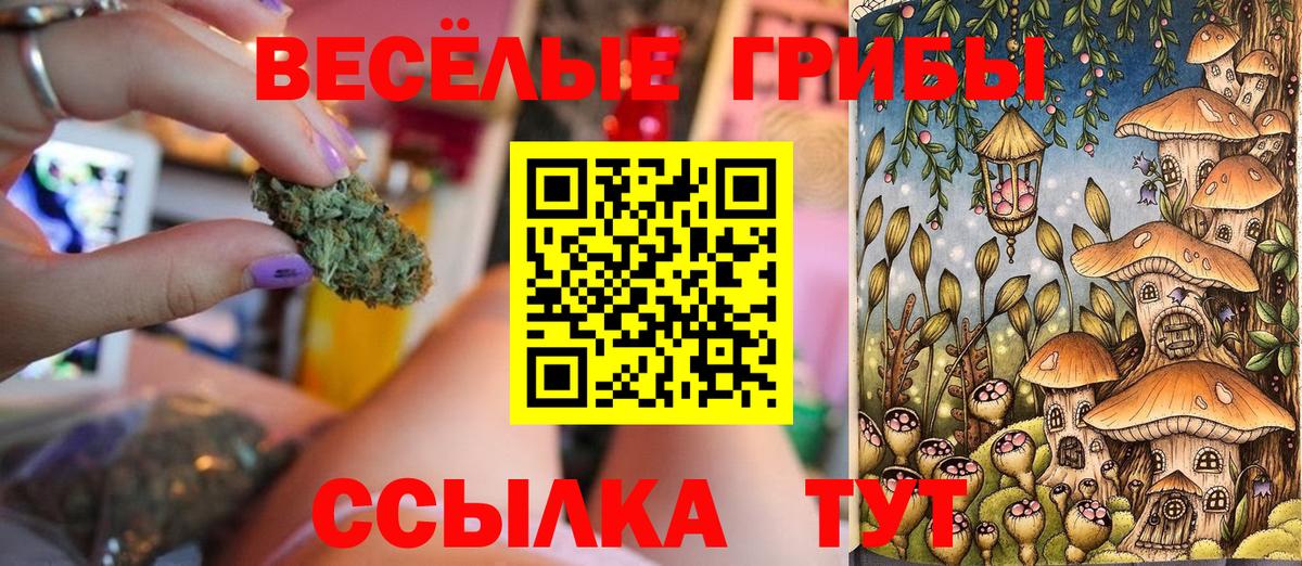 Галлюциногенные грибы Psilocybe  Вход с VPN  Миасс  Псилоцибиновые грибы ЛСД 